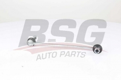 BSG 16310009 Viraj Askı Rotu Ön Sağ