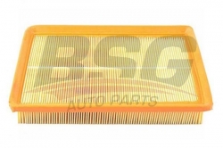 BSG 40135012 Hava Filtresi