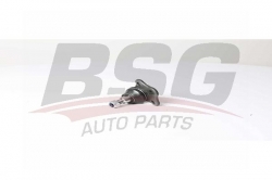 BSG 75310046 Rotil Alt