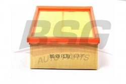 BSG 30135017 Hava Filtresi