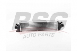 BSG 25535005 Turbo Radyatörü