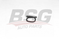 BSG 70725029 Yakıt Borusu