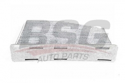 BSG 90145013 Polen Filtresi