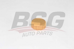 BSG 16551001 Radyatör Yedek Su Depo Kapağı