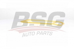 BSG 70135019 Hava Filtresi