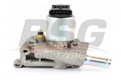 BSG 65836005 Egr Valfi