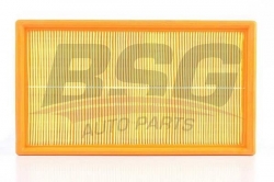 BSG 90135007 Hava Filtresi