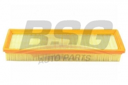 BSG 70135004 Hava Filtresi