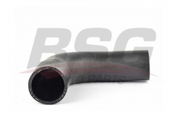 BSG 90720055 Turbo Hortumu