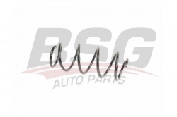 BSG 90305011 Helezon Yayı Ön