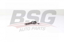 BSG 65310082 Rot Başı Ön