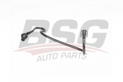 BSG 75731001 Westinghouse Hortumu