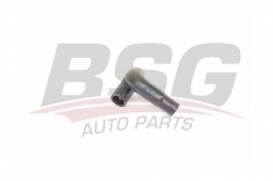 BSG 75720028 Termostat Hortumu