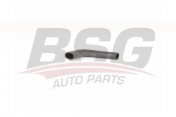 BSG 90720174 Radyatör Su Hortumu