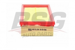 BSG 30135006 Hava Filtresi
