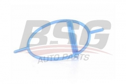 BSG 30116084 Vakum Pompa Alt Oringi