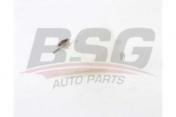 BSG 60550010 Radyatör Yedek Su Deposu