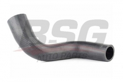 BSG 16720015 Radyatör Hortumu Alt