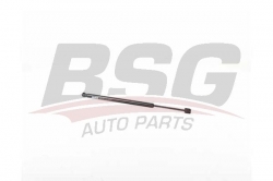 BSG 15980075 Bagaj Amortisörü