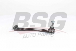 BSG 15310168 Rot Başı Sağ