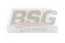 BSG 70145016 Polen Filtresi