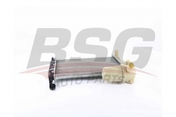 BSG 25520008 Su Radyatörü