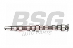 BSG 90108008 Eksantrik Mili