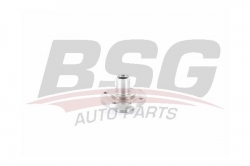 BSG 25600006 Porya Ön