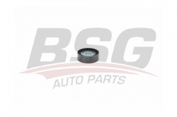 BSG 60615023 V Kayış Gergi Rulmanı