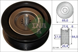 INA 532067110 Eksantrik Gergi Rulmanı