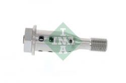 INA 427002110 Vanos Civatası