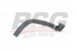 BSG 25720020 Radyatör Hortumu Alt