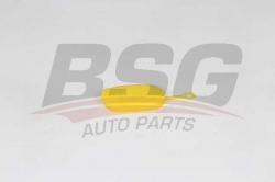 BSG 75922004 Silecek Su Depo Kapağı