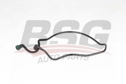 BSG 25725021 Yakıt Borusu