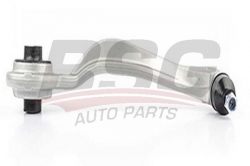 BSG 60310135 Rotilli Kol Sağ