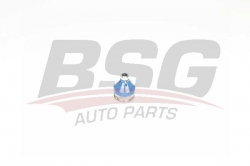 BSG 75310044 Rotil Alt