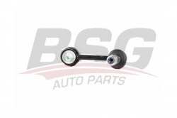 BSG 40310073 Viraj Askı Rotu Arka
