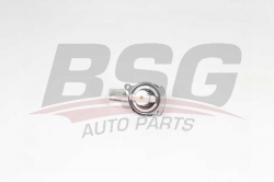 BSG 90125007 Termostat