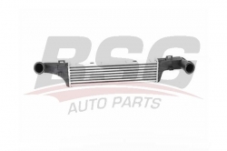 BSG 60535006 Turbo Radyatörü
