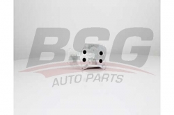BSG 15506027 Yağ Radyatörü