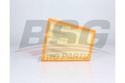 BSG 60135042 Hava Filtresi