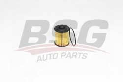 BSG 90140024 Yağ Filtresi
