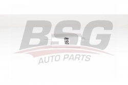 BSG 60130009 Yakıt Filtresi