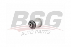 BSG 65700251 Salıncak Burcu Ön