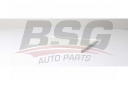 BSG 40145020 Polen Filtresi