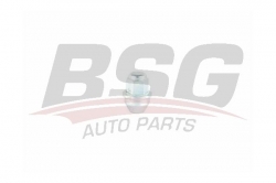 BSG 30230049 Bijon Somunu