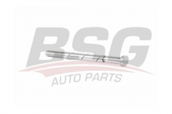 BSG 30236003 Vakum Pompa Tahrik Mili