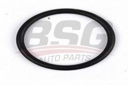 BSG 30230042 Silindir Kapak Su Çıkış Boru Oringi