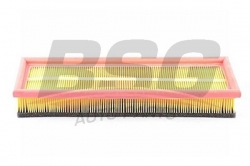 BSG 65135013 Hava Filtresi