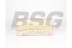 BSG 90135032 Hava Filtresi